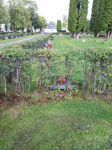 Gravnummer: NK F A   102