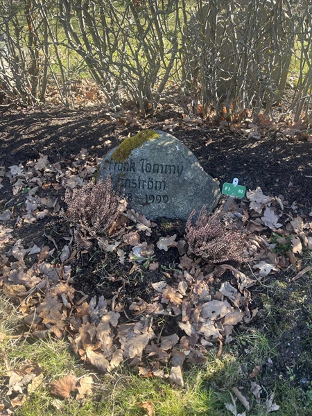Grave number: 1 3 F1 81