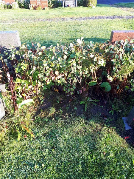 Gravnummer: NK F B    37