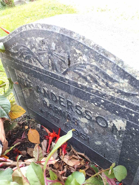 Gravnummer: NK A A   307