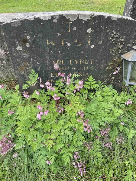 Gravnummer: N 4 3   320