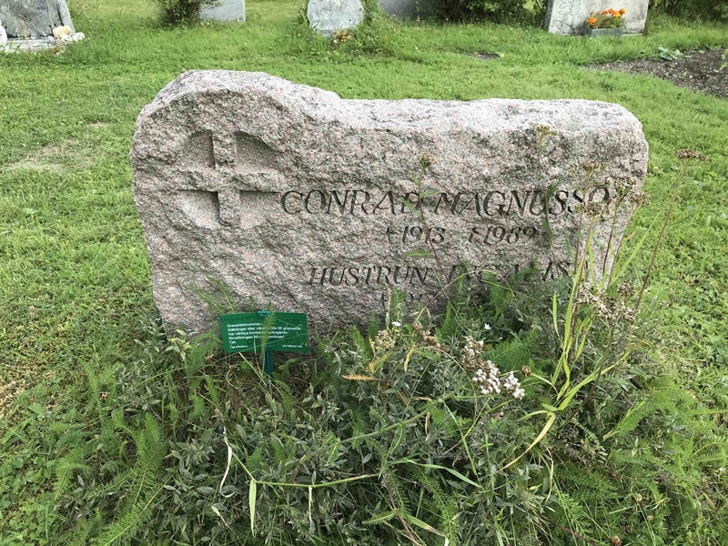 Grave number: UN L    30, 31