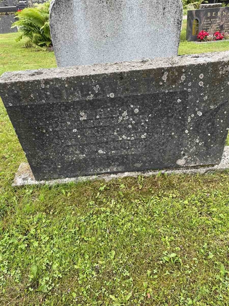 Gravnummer: N 4 4   556