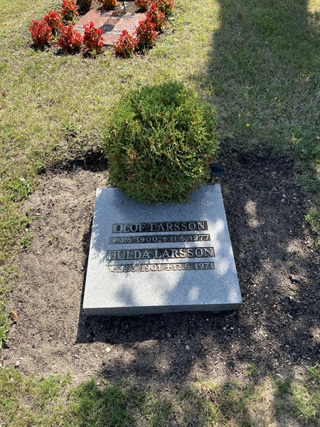 Grave number: NK X:u    84