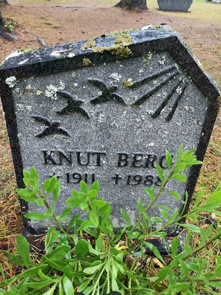 Hautatunnus: VLM 15    51