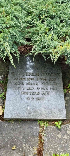 Grave number: LM 3 54  007