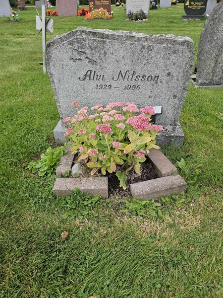 Grave number: Fr 8   251