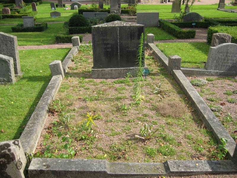 Grave number: BK KV2     8