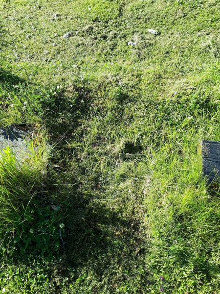 Grave number: GK A 5   134M