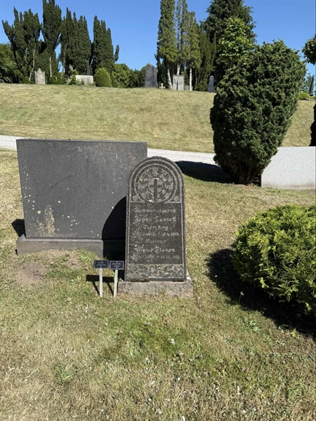 Hautatunnus: TR 3 2    52