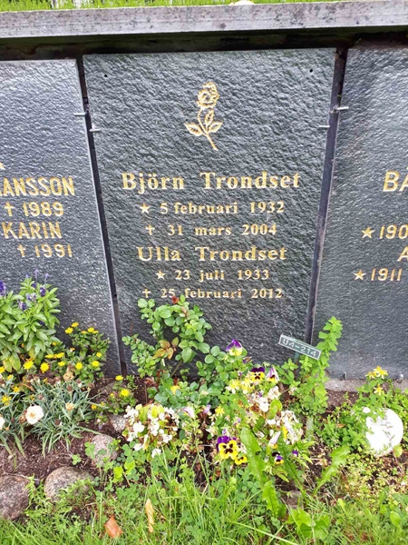 Gravnummer: GK U 4   214