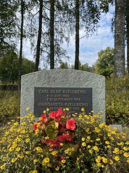 Hautatunnus: 1 19    250