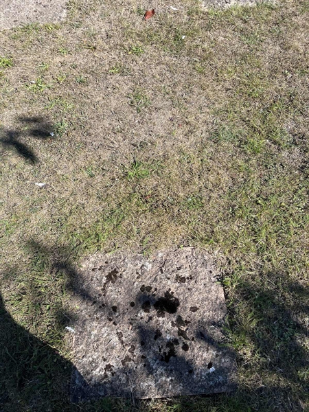 Grave number: NK I:u   330