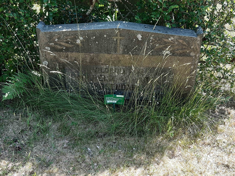 Grave number: VI 01   614