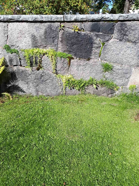 Gravnummer: NK F G    13