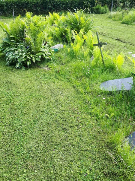 Gravnummer: GK A 5   124M