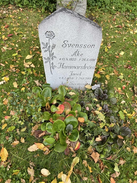 Grave number: 1 H   252