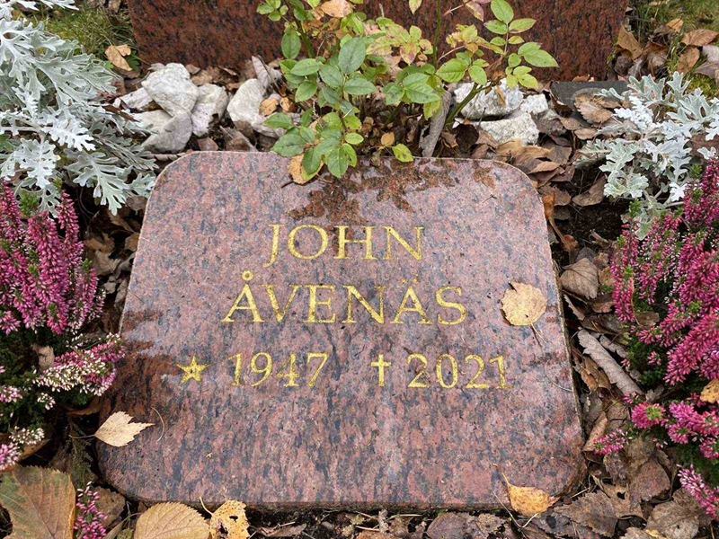 Grave number: 1 29     20