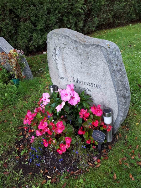 Gravnummer: NK F D   287