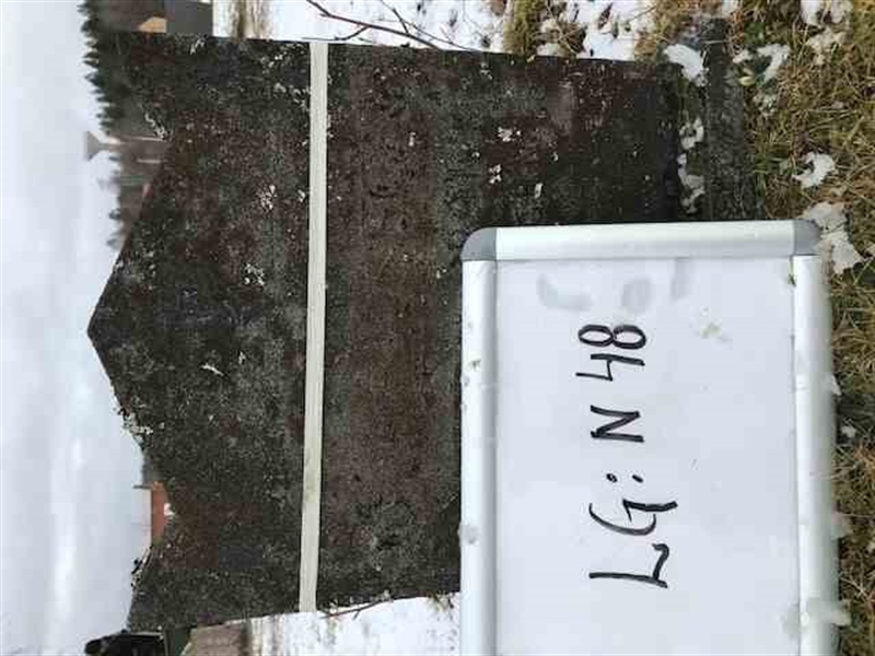 Grave number: LG N    48