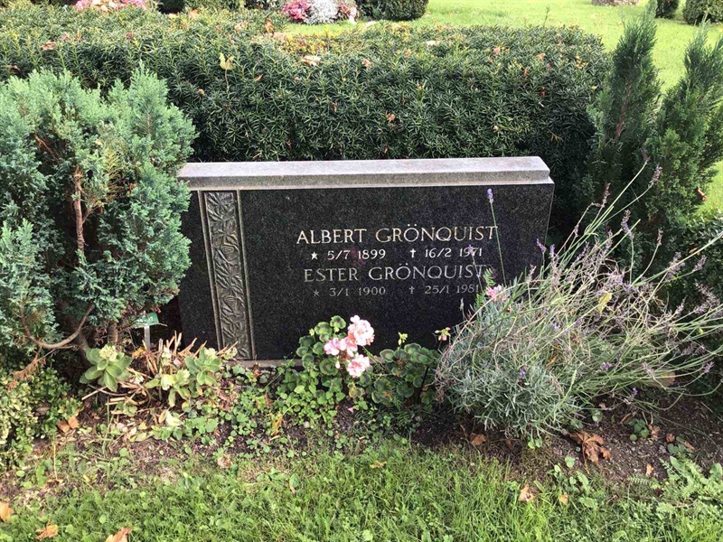 Hautatunnus: Kaga ny    37-38