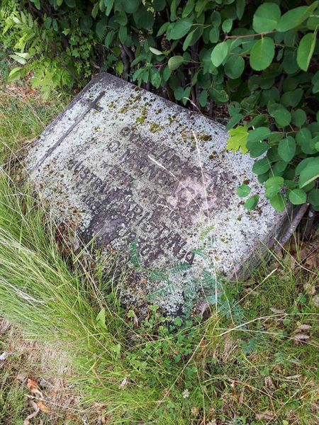 Gravnummer: GK F 5   445