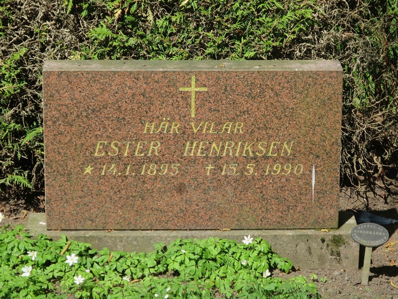 Grave number: HÖB 74    15