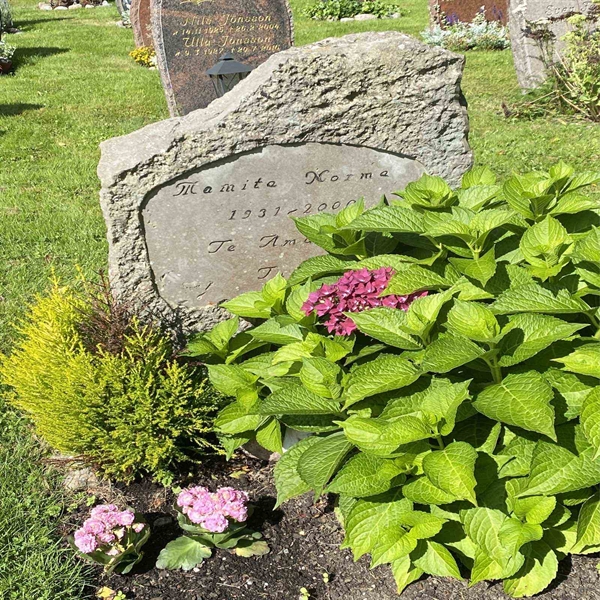 Hautatunnus: 1 NA    83