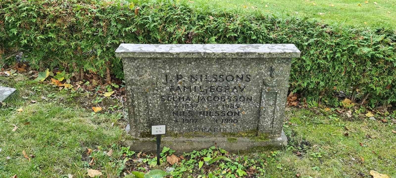 Grave number: M V   19, 19a