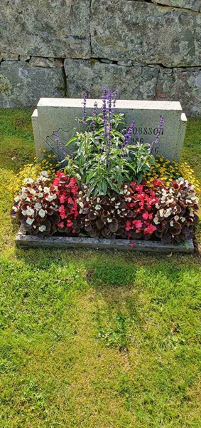 Grave number: Jä 10    25-26