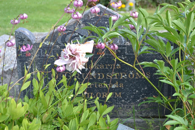 Grave number: 1 C   459