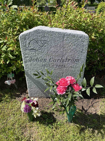 Gravnummer: Kärn ga pers   697+672