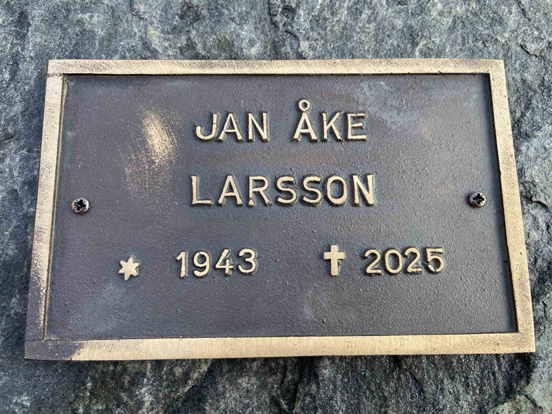 Grave number: 1 33     86