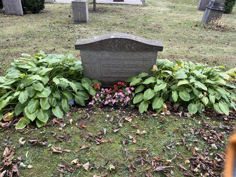 Grave number: Ö 15    25.A-B