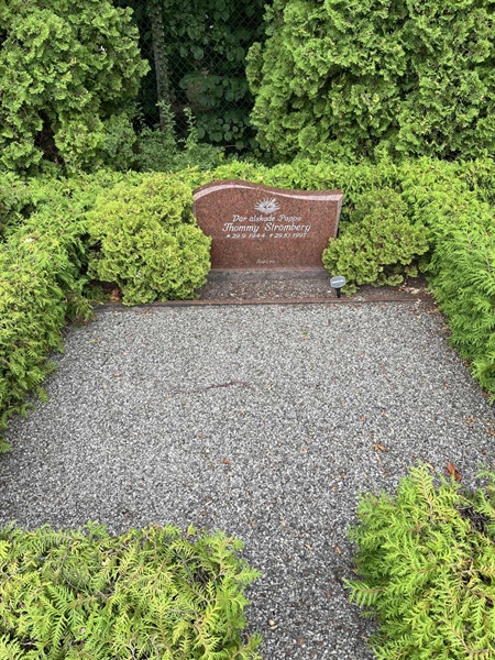 Grave number: NK IX   216