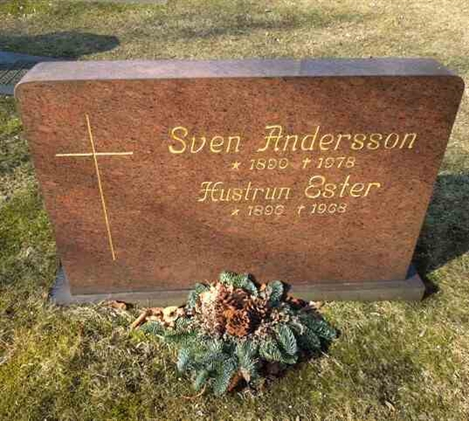 Grave number: SN D   254