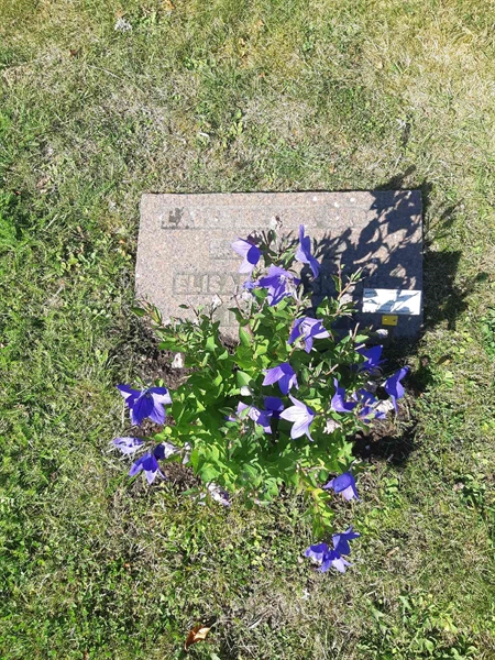 Grave number: Fr 1   559-560