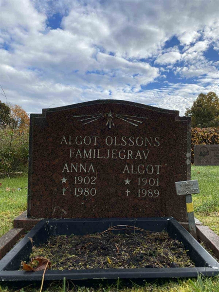 Gravnummer: 1 24    100