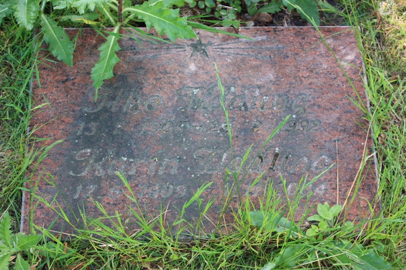 Grave number: Ö 45    41