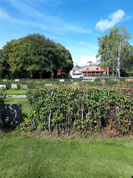 Gravnummer: NK F B   146