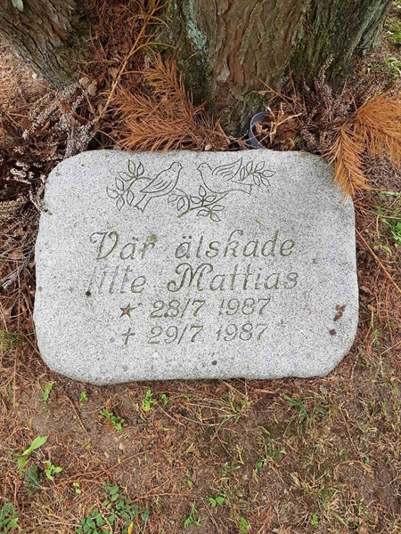 Grave number: 01  2331