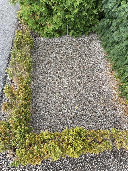 Grave number: NK Urn p     1