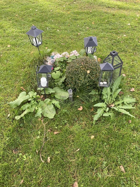 Hautatunnus: 2 G    78