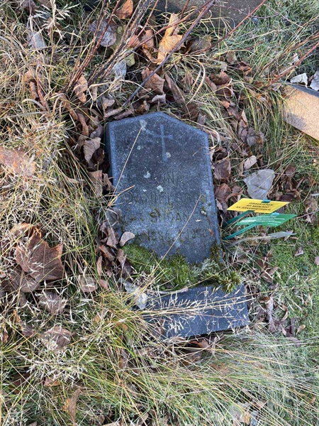 Gravnummer: GK A 3   487