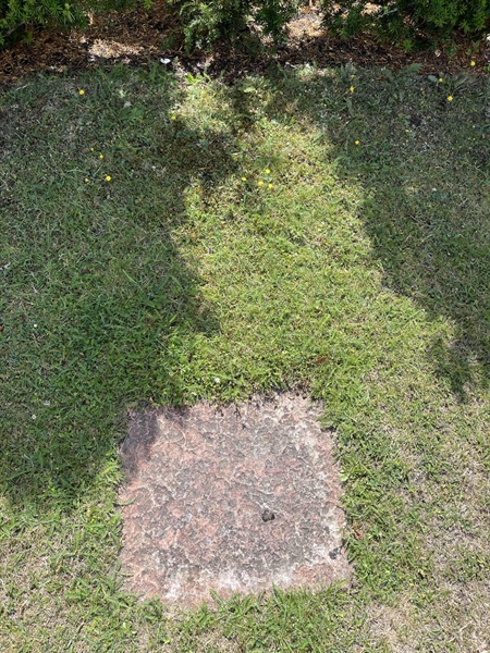 Grave number: NK I:u   111