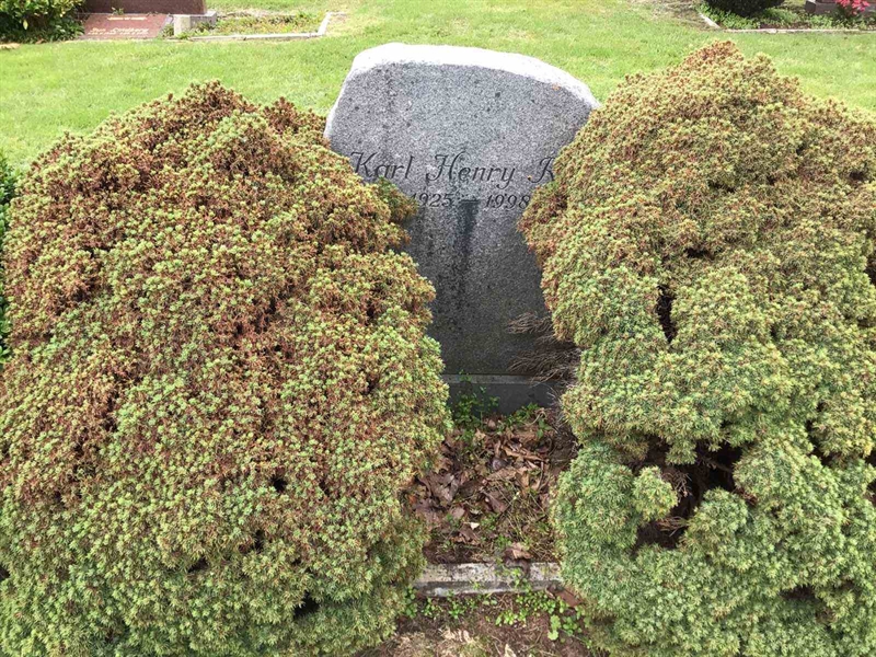 Grave number: 20 N    72