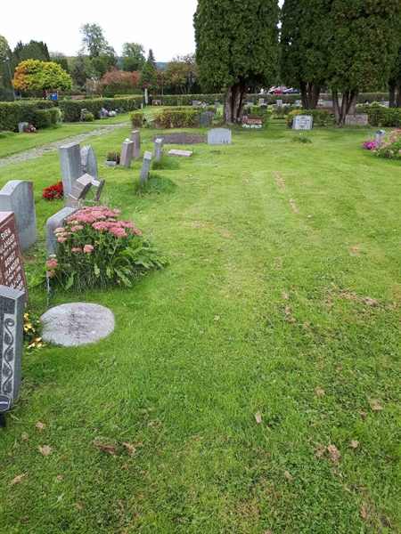 Hautatunnus: NK F B   749