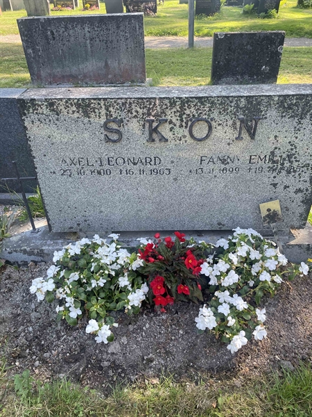 Grave number: N 5 3   383b