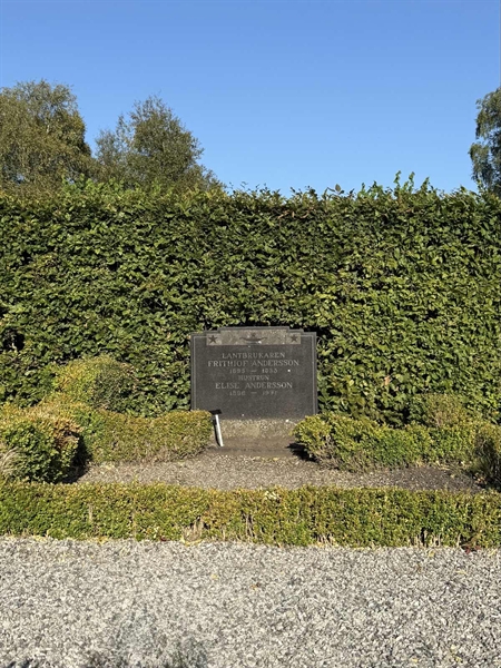 Gravnummer: AN C    12, 13