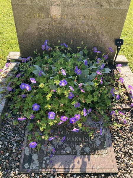 Grave number: 1 07    38
